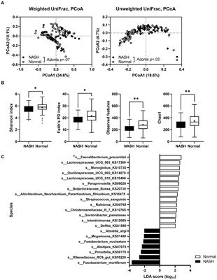 Faecalibacterium prausnitzii prevents hepatic damage in a mouse model of NASH induced by a high-fructose high-fat diet